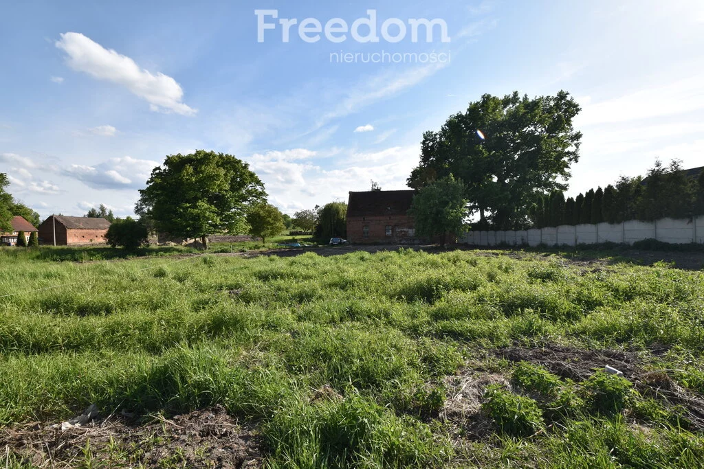 Apartamenty 10679/3685/OGS Wilków
