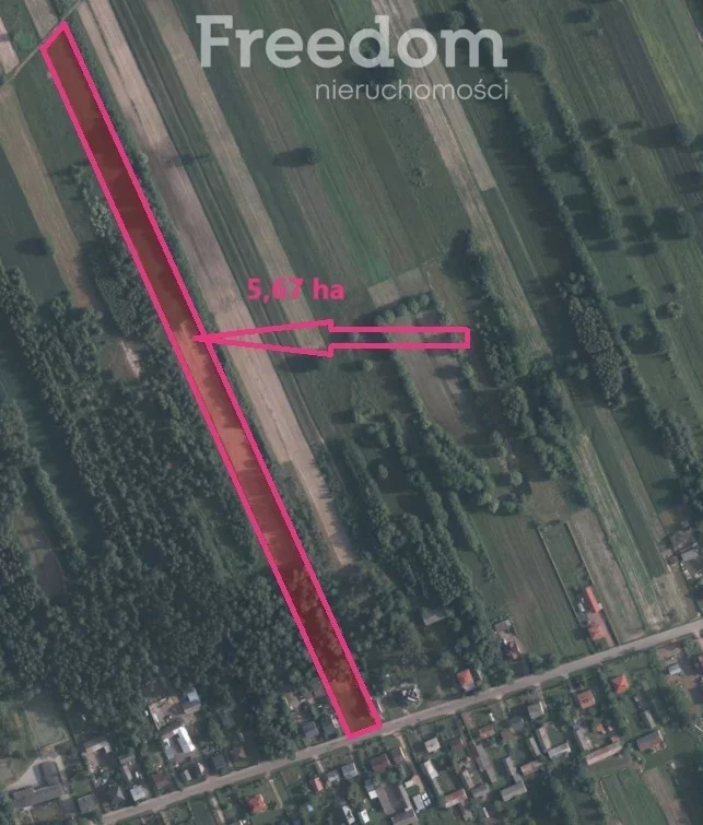 Działka 56 700,00 m², Wiśniew, Sprzedaż