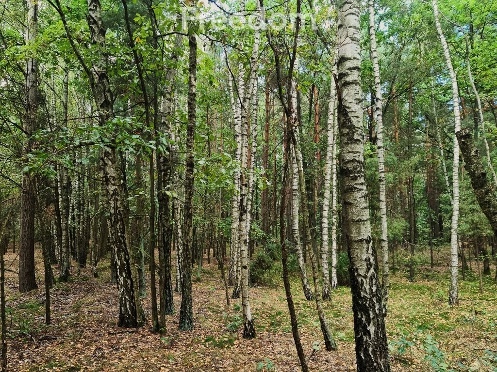 Działka 2 600,00 m², oferta nr , 9820/3685/OGS, Wiśniew