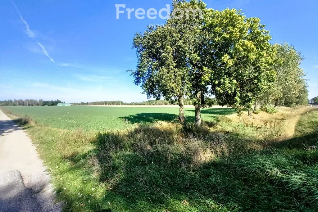 Działka 15 532,00 m², oferta nr , 8856/3685/OGS, Radzyń Podlaski, Wisznicka