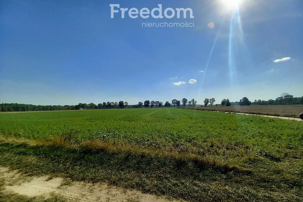 Działka 15 532,00 m², oferta nr , 8856/3685/OGS, Radzyń Podlaski, Wisznicka