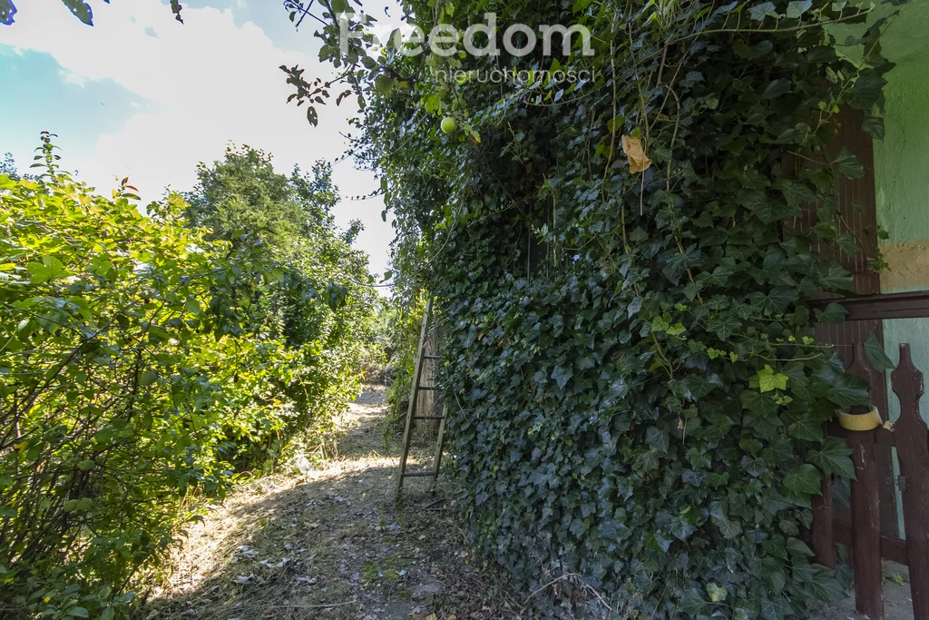 Działka 407,00 m², oferta nr , 11308/3685/OGS, Nysa, Władysława Jagiełły