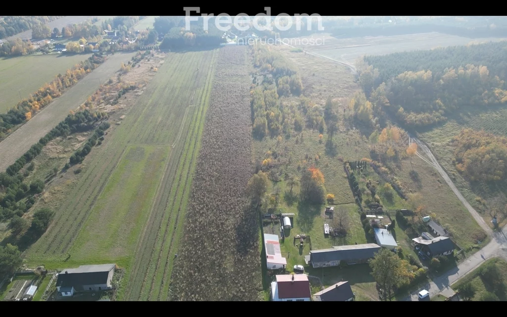9031/3685/OGS - zdjęcie nr 3