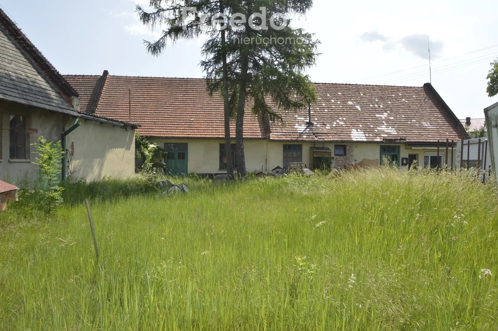 10688/3685/OGS - zdjęcie nr 3
