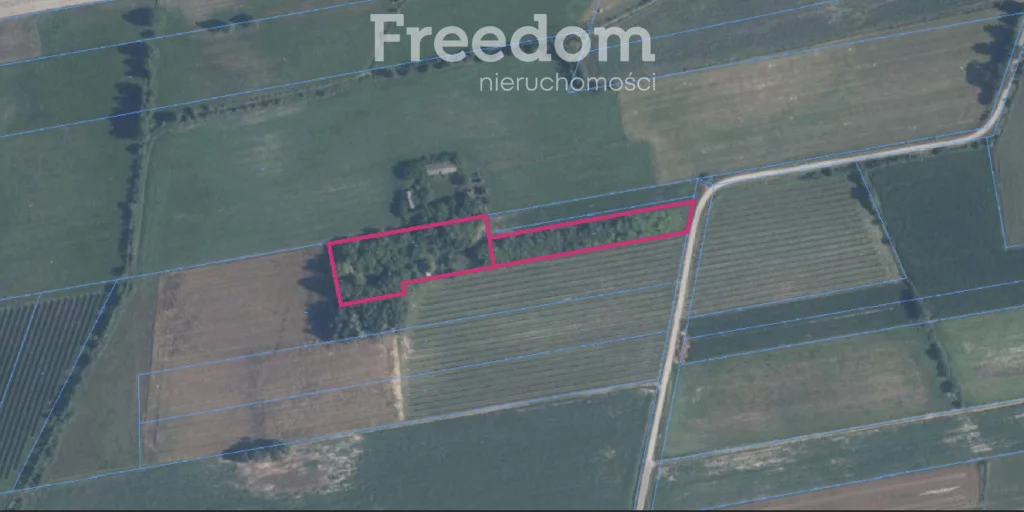 Działka 6 600,00 m², oferta nr , 11318/3685/OGS, Wólka Łózecka