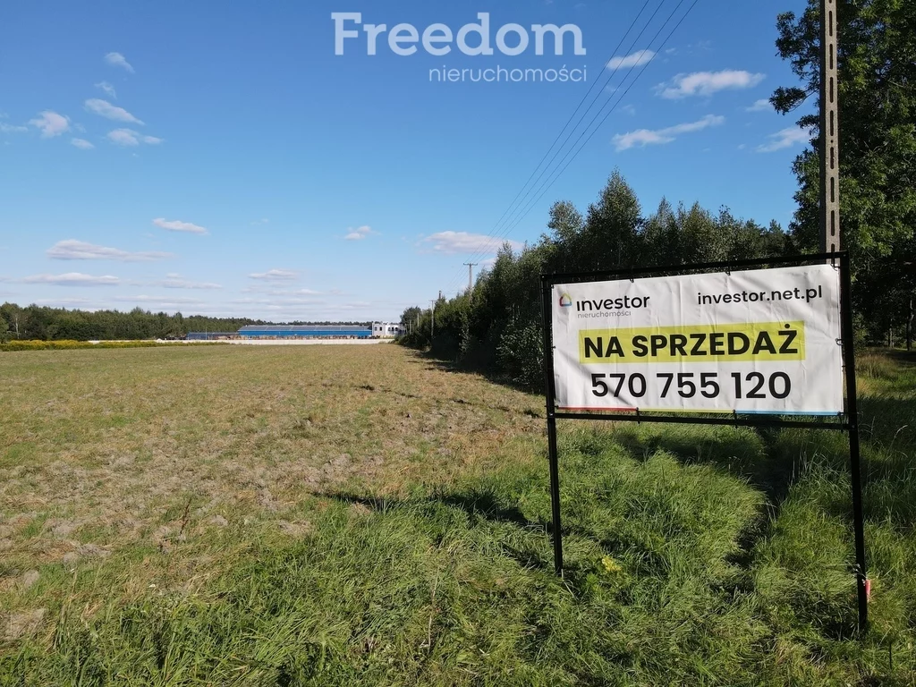 Działka 43 100,00 m², Wólka Plebańska, Sprzedaż