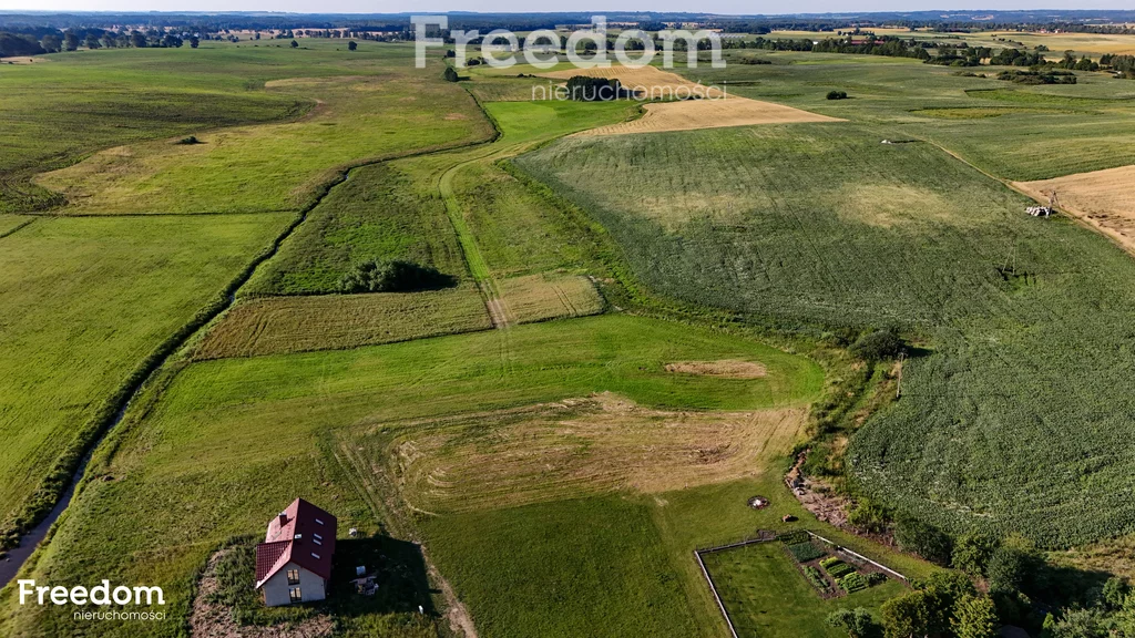 10888/3685/OGS - zdjęcie nr 3