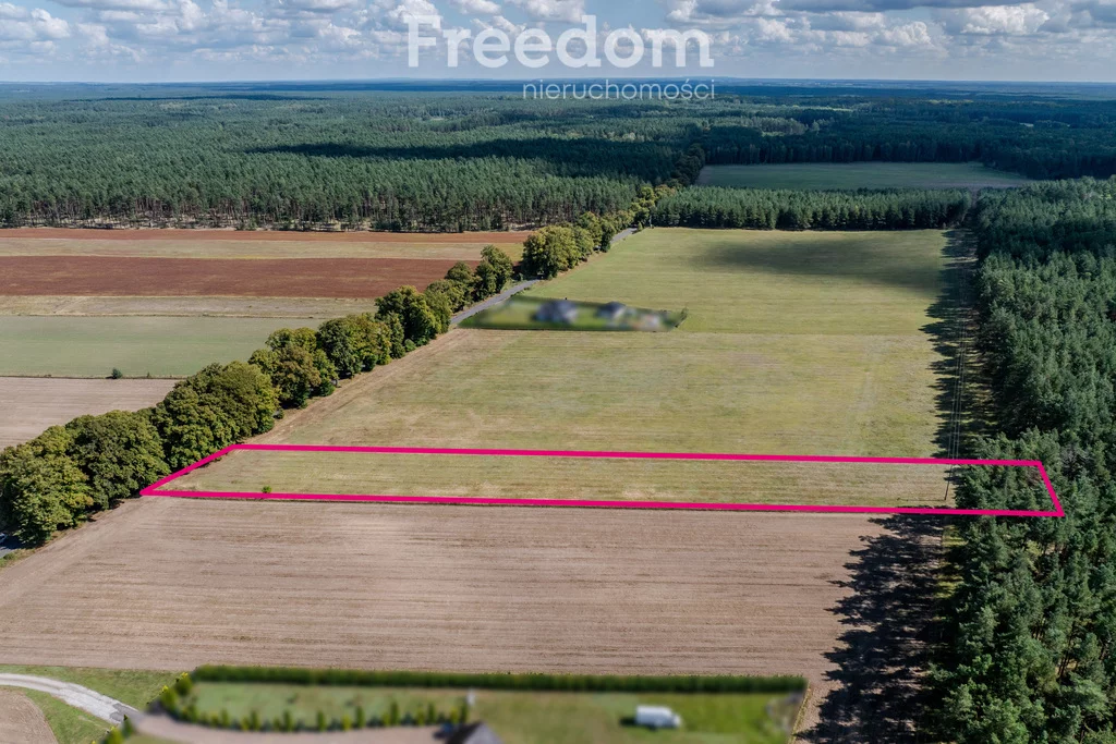 Apartamenty 11223/3685/OGS Wołowe Lasy