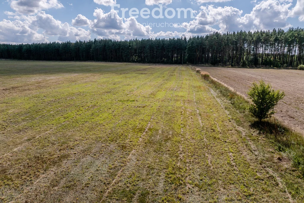 Działka 5 744,00 m², oferta nr , 11223/3685/OGS, Wołowe Lasy
