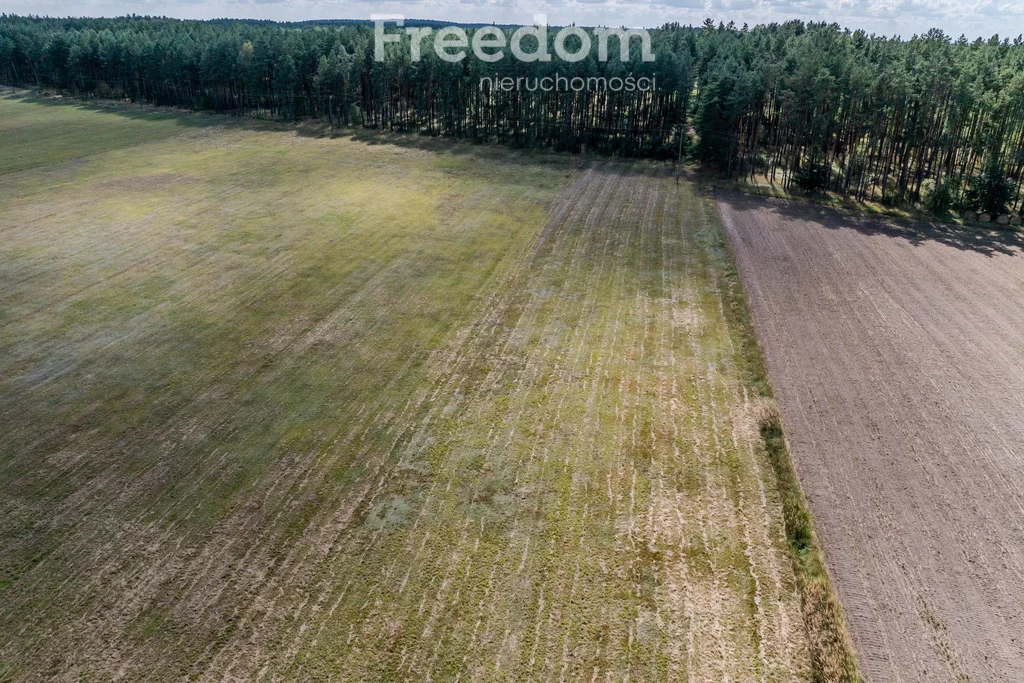 Działka 5 744,00 m², oferta nr , 11223/3685/OGS, Wołowe Lasy