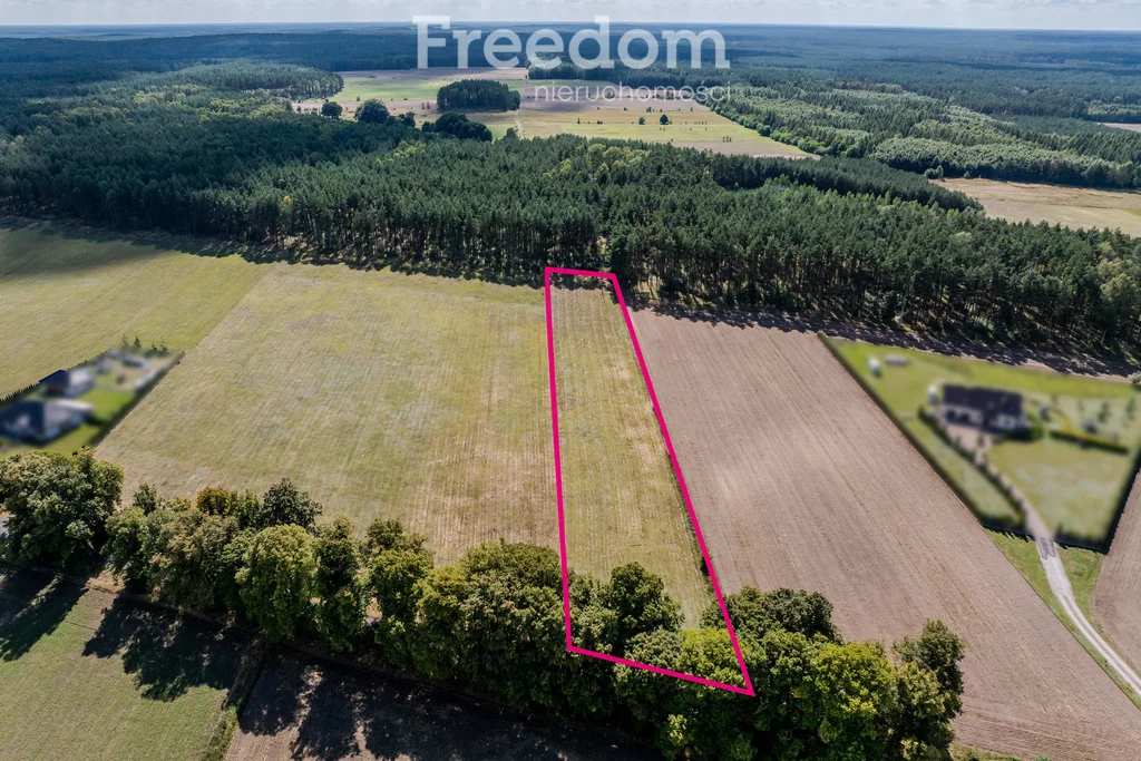 Działka 5 744,00 m², oferta nr , 11223/3685/OGS, Wołowe Lasy