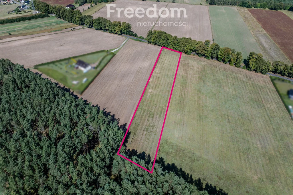 Działka 5 744,00 m², oferta nr , 11223/3685/OGS, Wołowe Lasy