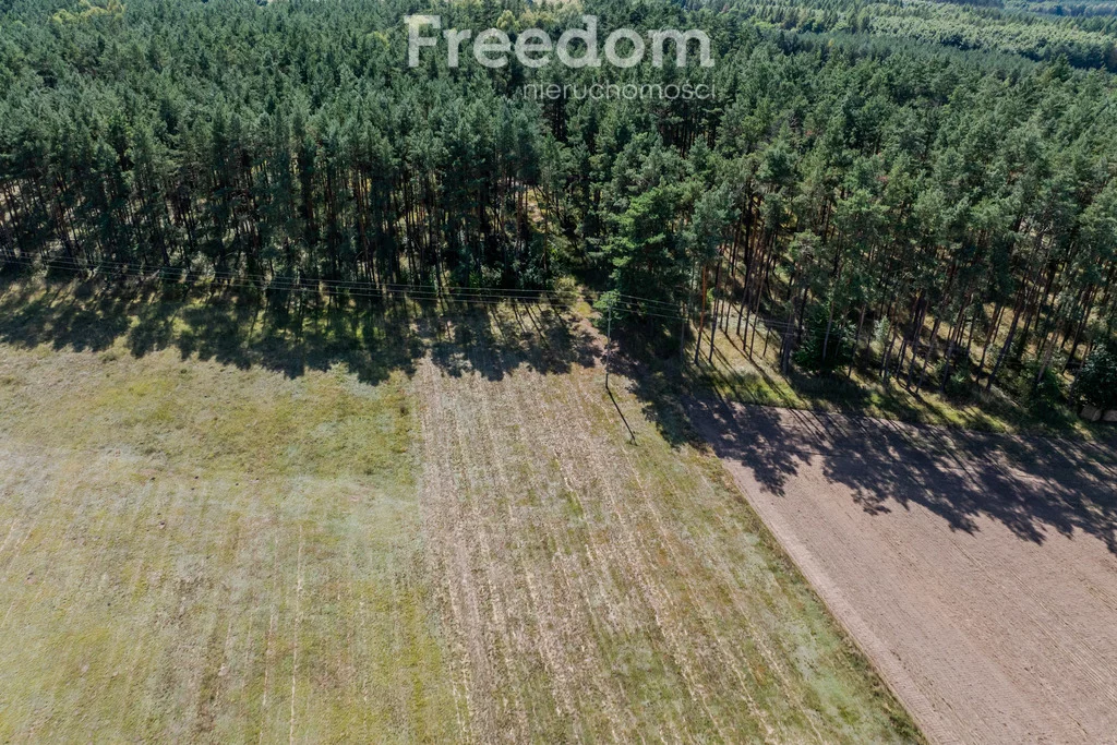 Działka 5 744,00 m², oferta nr , 11223/3685/OGS, Wołowe Lasy