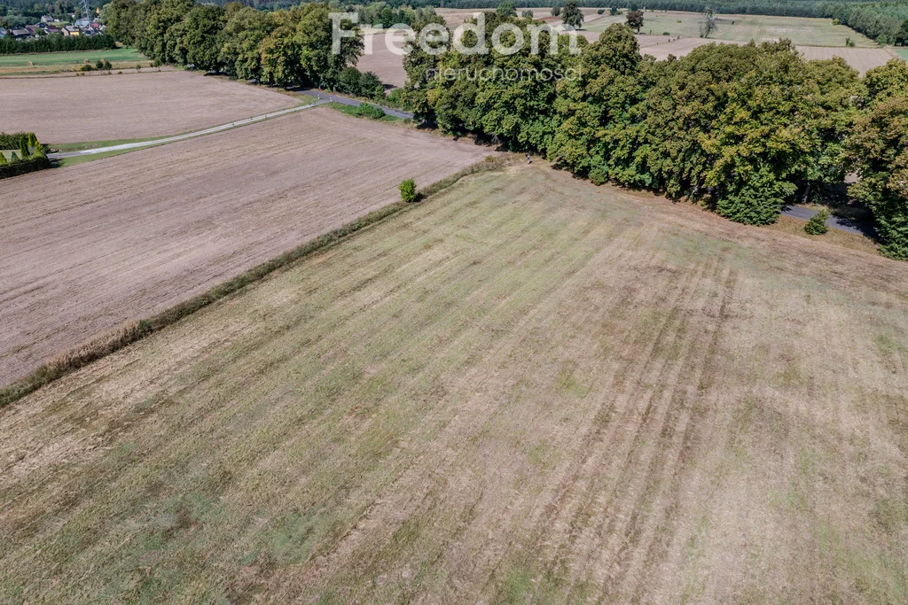 Działka 5 744,00 m², oferta nr , 11223/3685/OGS, Wołowe Lasy
