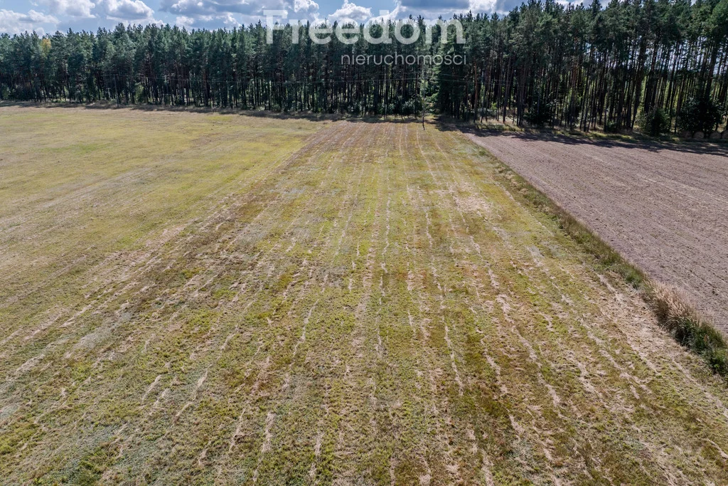 Działka 5 744,00 m², oferta nr , 11223/3685/OGS, Wołowe Lasy