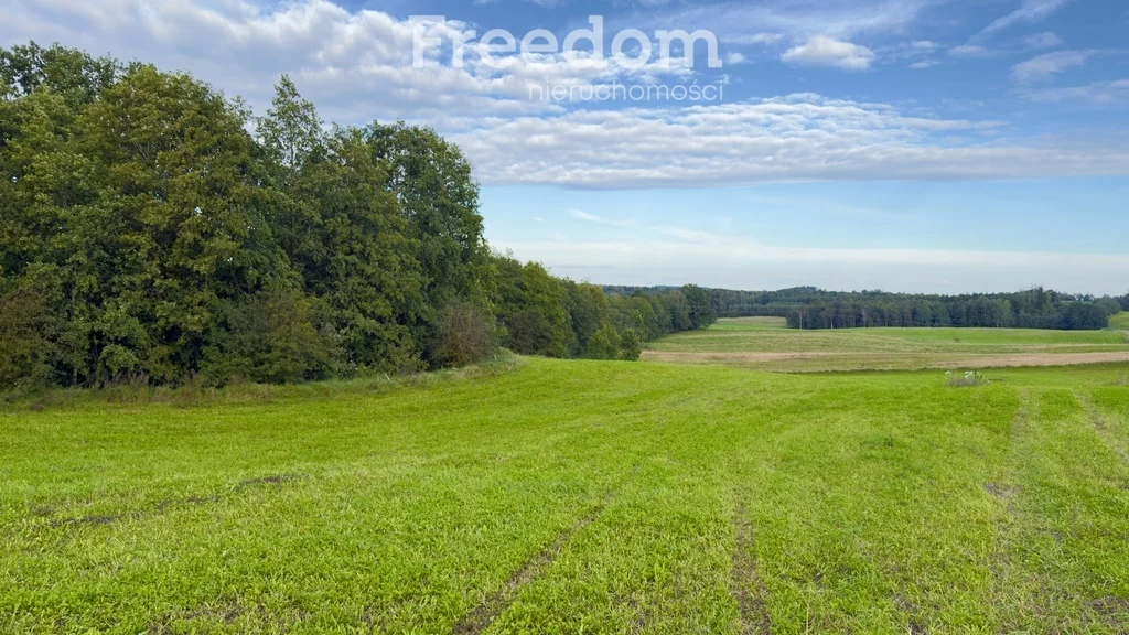 Działka 1 000,00 m², oferta nr , 11314/3685/OGS, Wronka