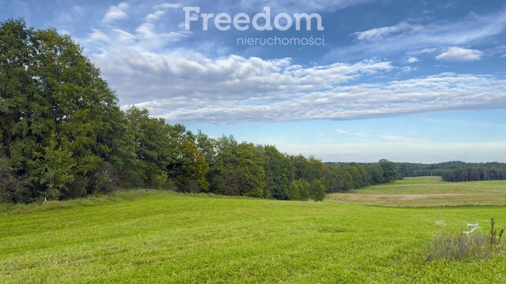 Działka 1 000,00 m², oferta nr , 11314/3685/OGS, Wronka