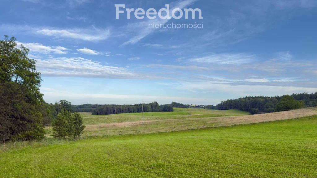 Działka 1 000,00 m², oferta nr , 11314/3685/OGS, Wronka