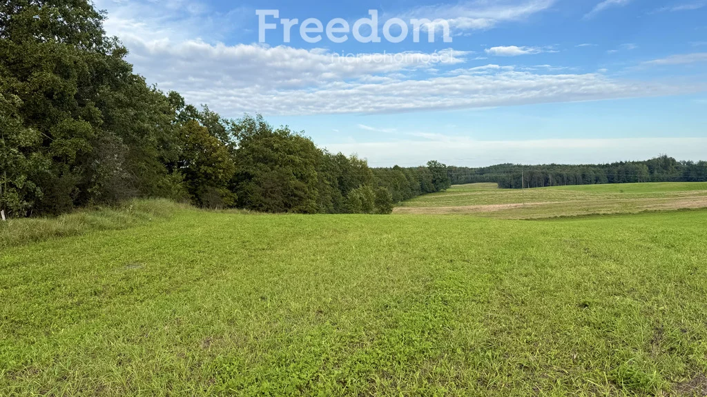 Działka 1 000,00 m², oferta nr , 11314/3685/OGS, Wronka