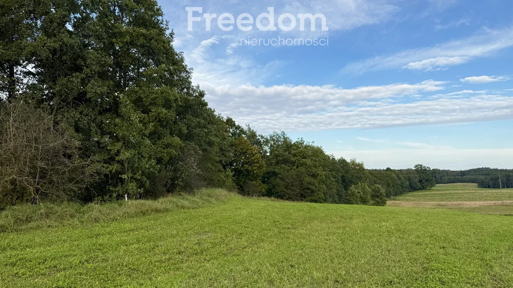 Działka 1 000,00 m², oferta nr , 11314/3685/OGS, Wronka