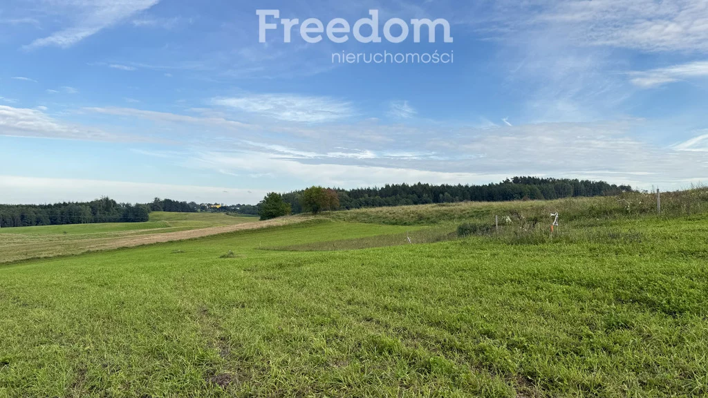 Działka 1 000,00 m², oferta nr , 11314/3685/OGS, Wronka