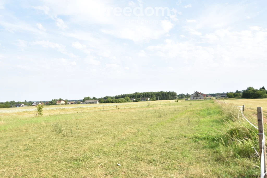 10795/3685/OGS - zdjęcie nr 2