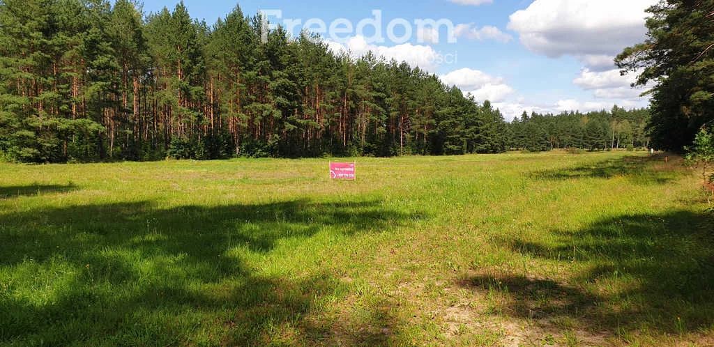 Działka 2 119,00 m², oferta nr , 8342/3685/OGS, Wynki