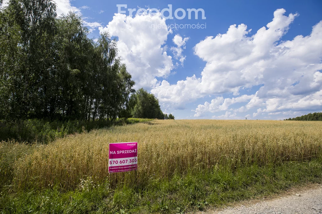 Działka 4 600,00 m², oferta nr , 11143/3685/OGS, Wysoka Strzyżowska