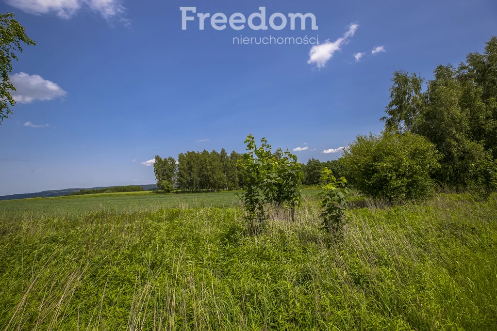 Działka 4 600,00 m², oferta nr , 11143/3685/OGS, Wysoka Strzyżowska