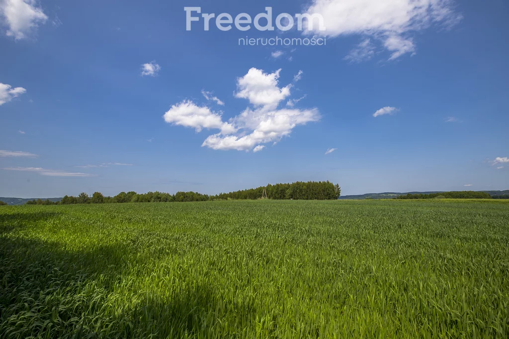 Działka 4 600,00 m², oferta nr , 11143/3685/OGS, Wysoka Strzyżowska