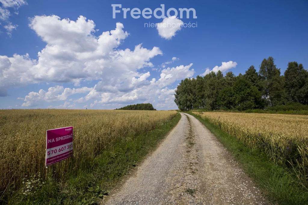 Działka 4 600,00 m², oferta nr , 11143/3685/OGS, Wysoka Strzyżowska