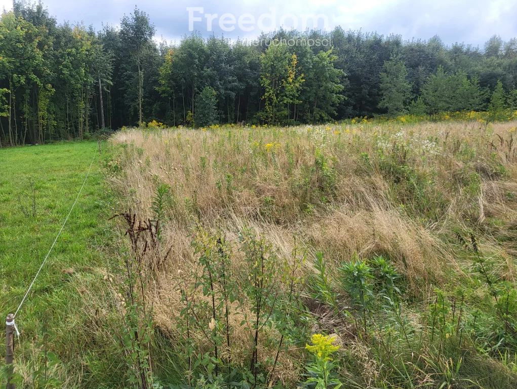 Działka 3 004,00 m², oferta nr , 9542/3685/OGS, Wyźrał