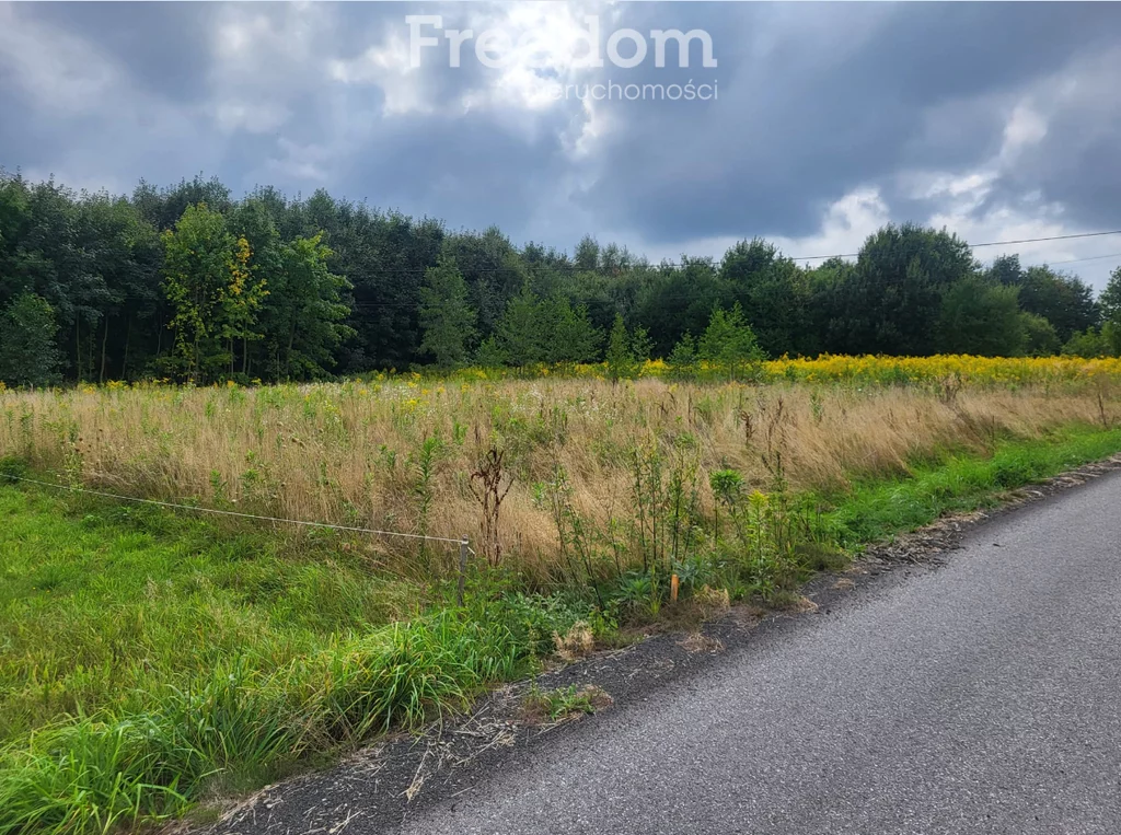 Działka 3 004,00 m², oferta nr , 9542/3685/OGS, Wyźrał