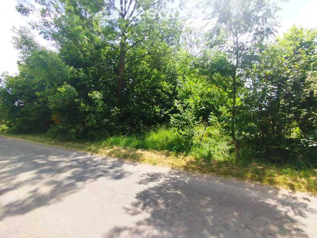 Apartamenty 10870/3685/OGS Żarnówka