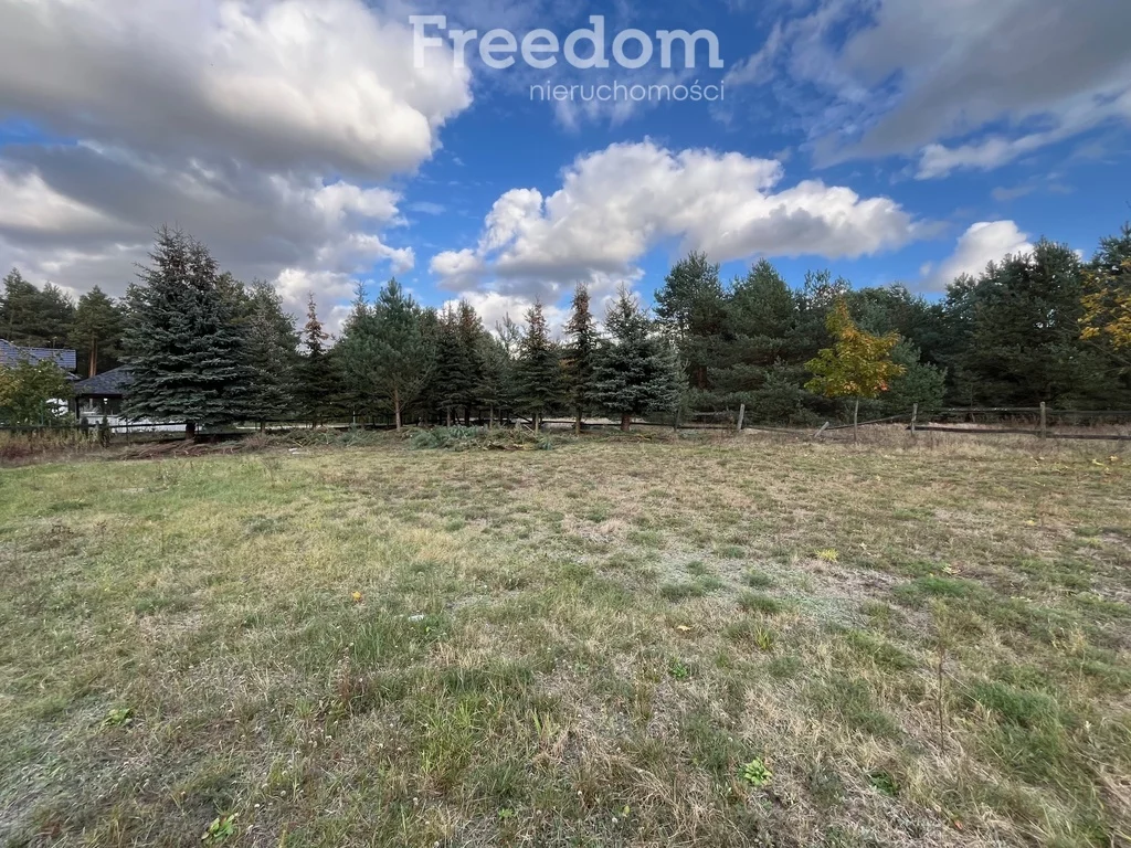 Działka 25 363,00 m², oferta nr , 8971/3685/OGS, Zarośle Cienkie