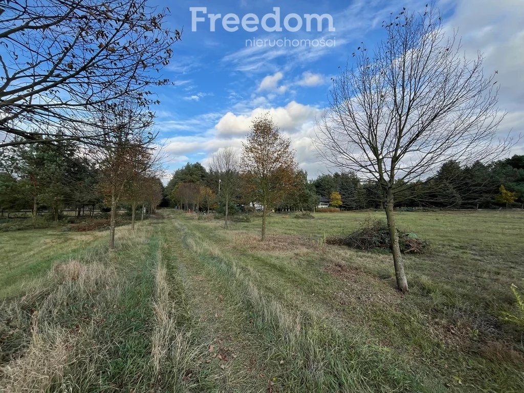 Działka 25 363,00 m², oferta nr , 8971/3685/OGS, Zarośle Cienkie