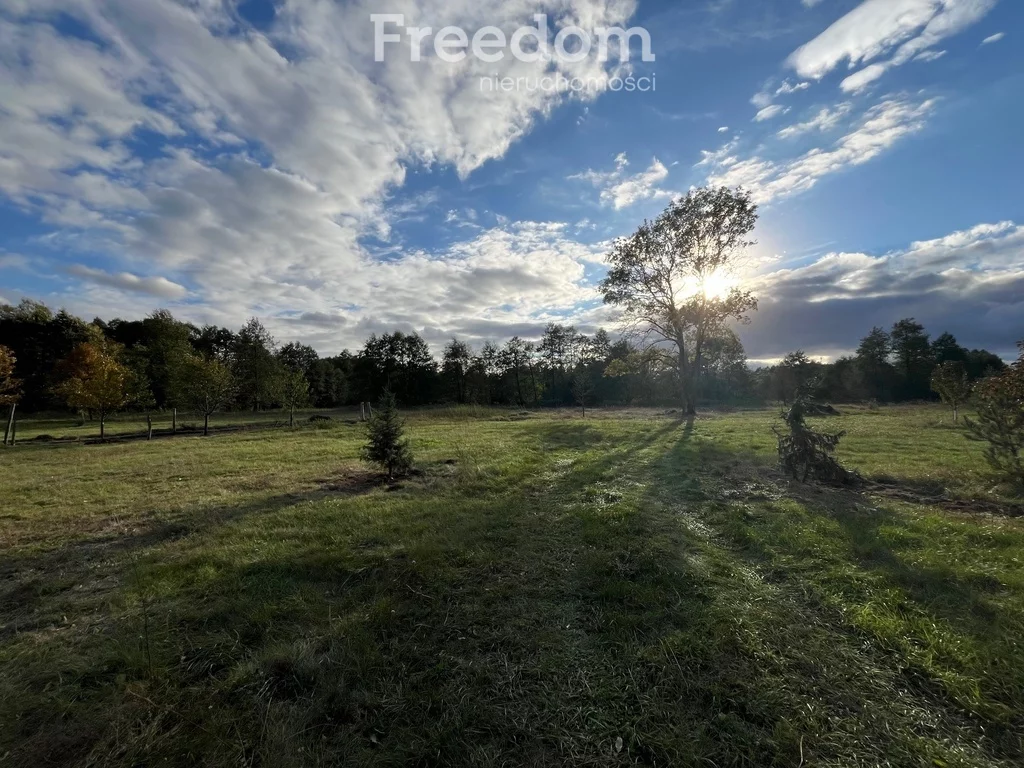 Działka 25 363,00 m², oferta nr , 8971/3685/OGS, Zarośle Cienkie