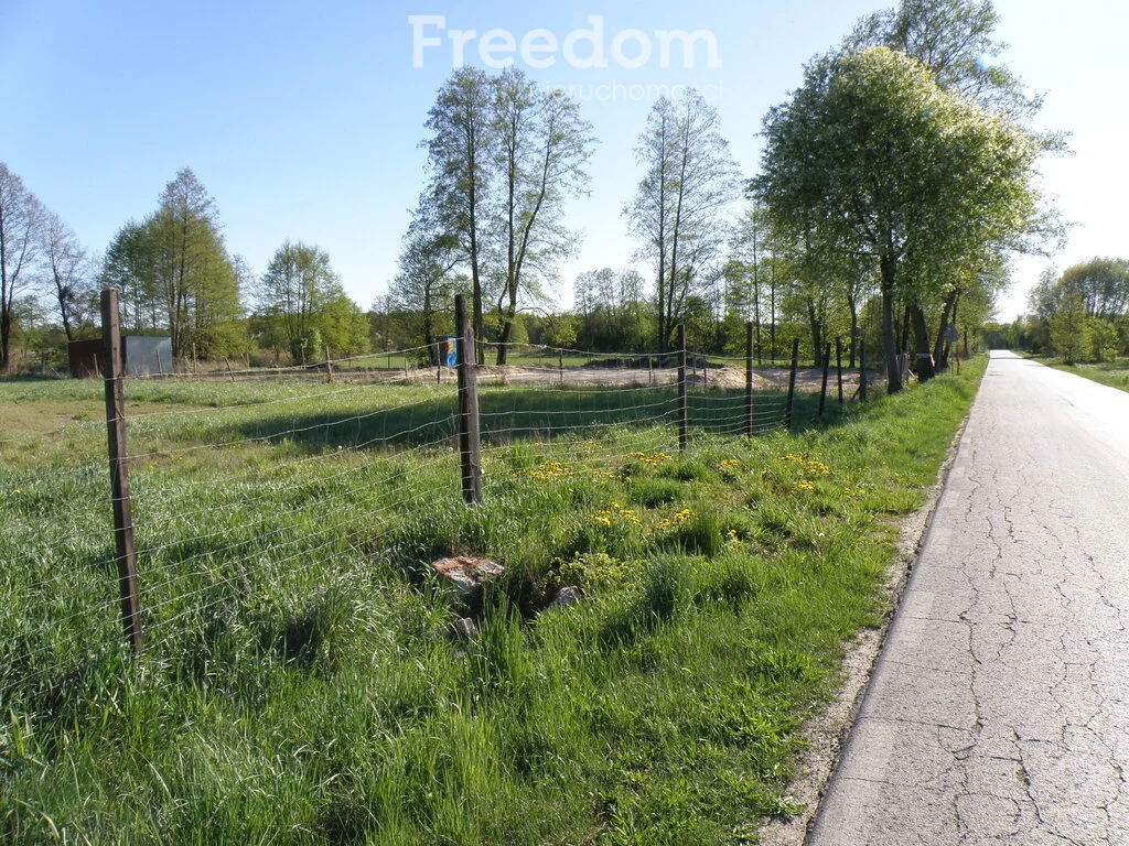 10411/3685/OGS - zdjęcie nr 4
