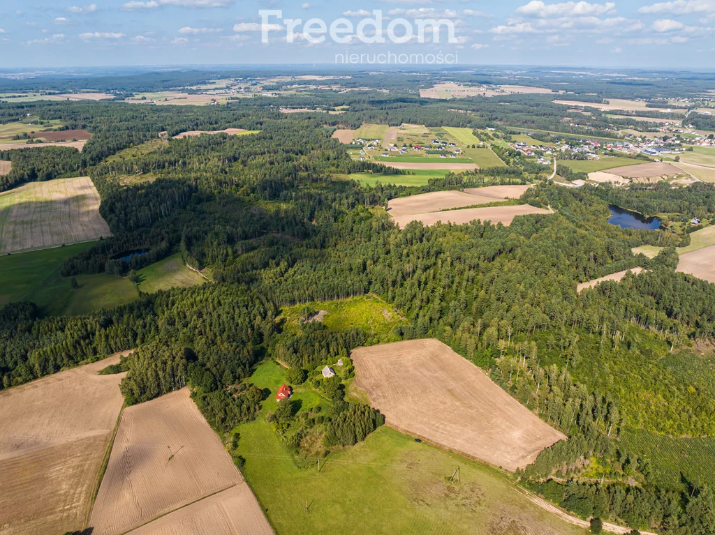 Działka 77 078,00 m², oferta nr , 10974/3685/OGS, Niepoczołowice, Zatorze