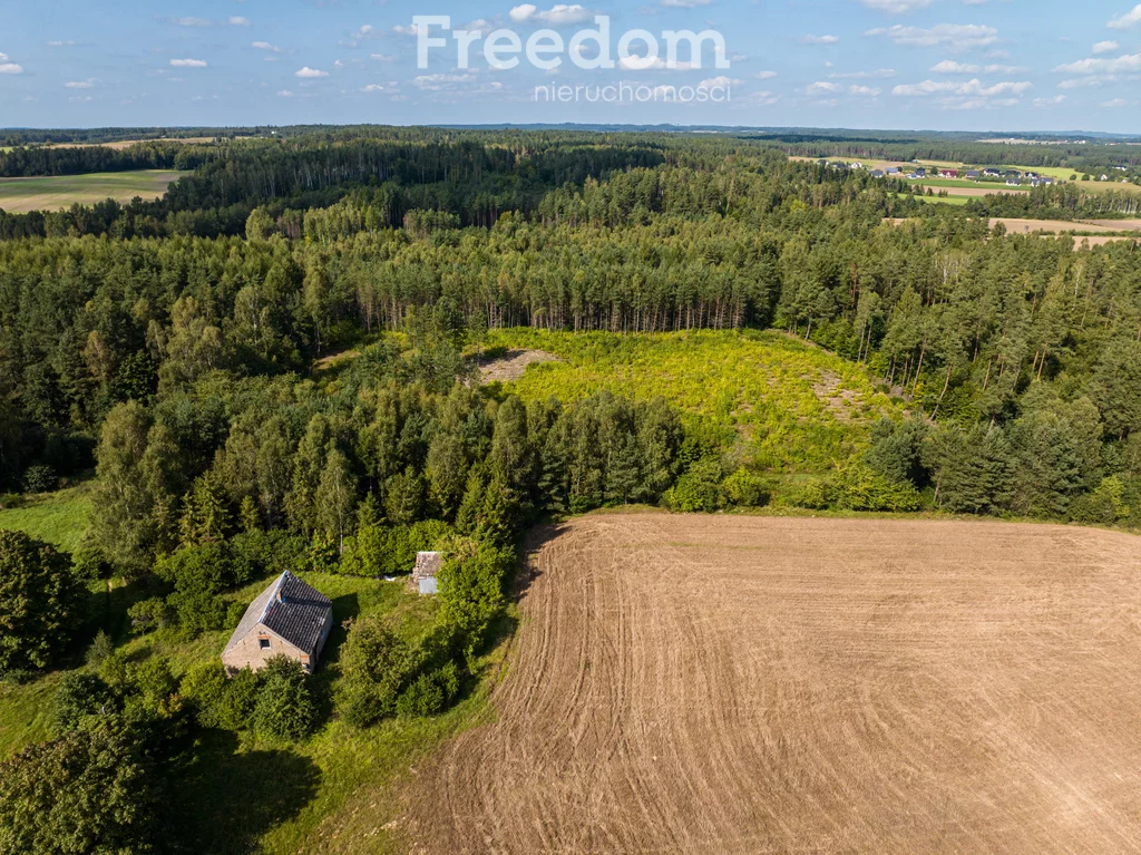 Działka 77 078,00 m², oferta nr , 10974/3685/OGS, Niepoczołowice, Zatorze