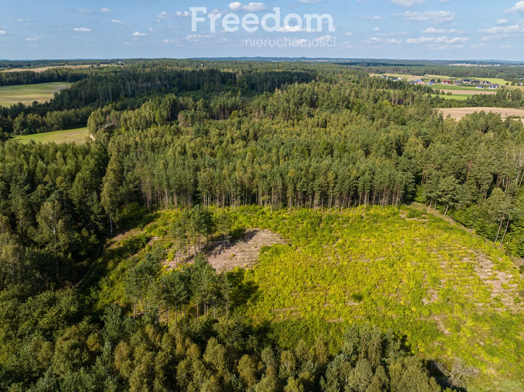 Działka 77 078,00 m², oferta nr , 10974/3685/OGS, Niepoczołowice, Zatorze