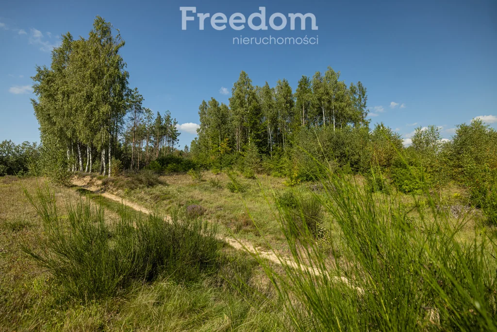 Działka 77 078,00 m², oferta nr , 10974/3685/OGS, Niepoczołowice, Zatorze