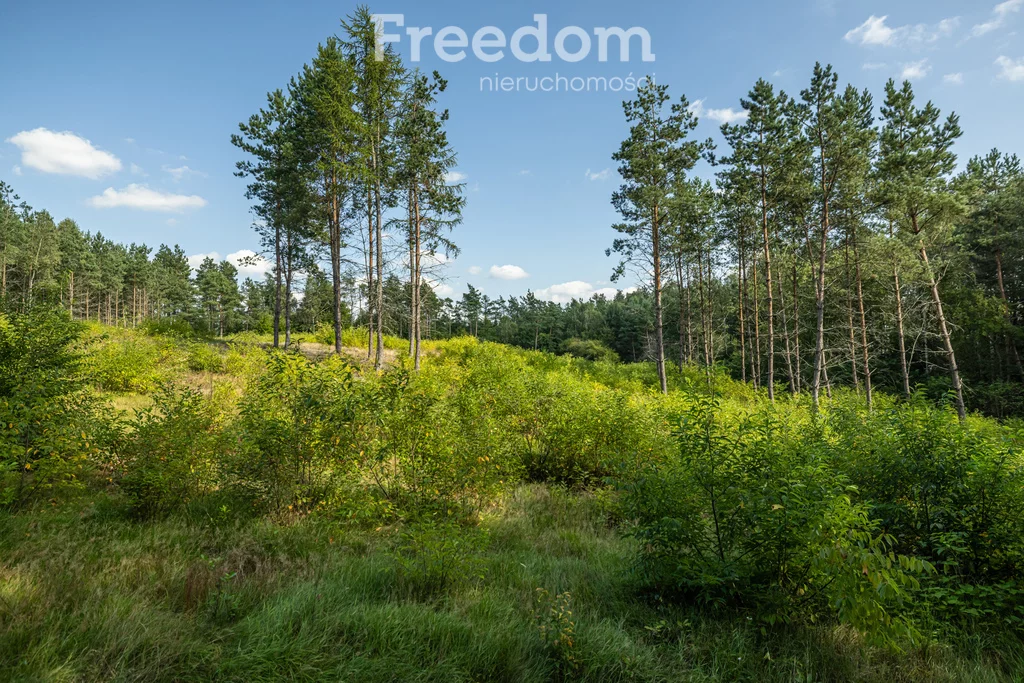 Działka 77 078,00 m², oferta nr , 10974/3685/OGS, Niepoczołowice, Zatorze