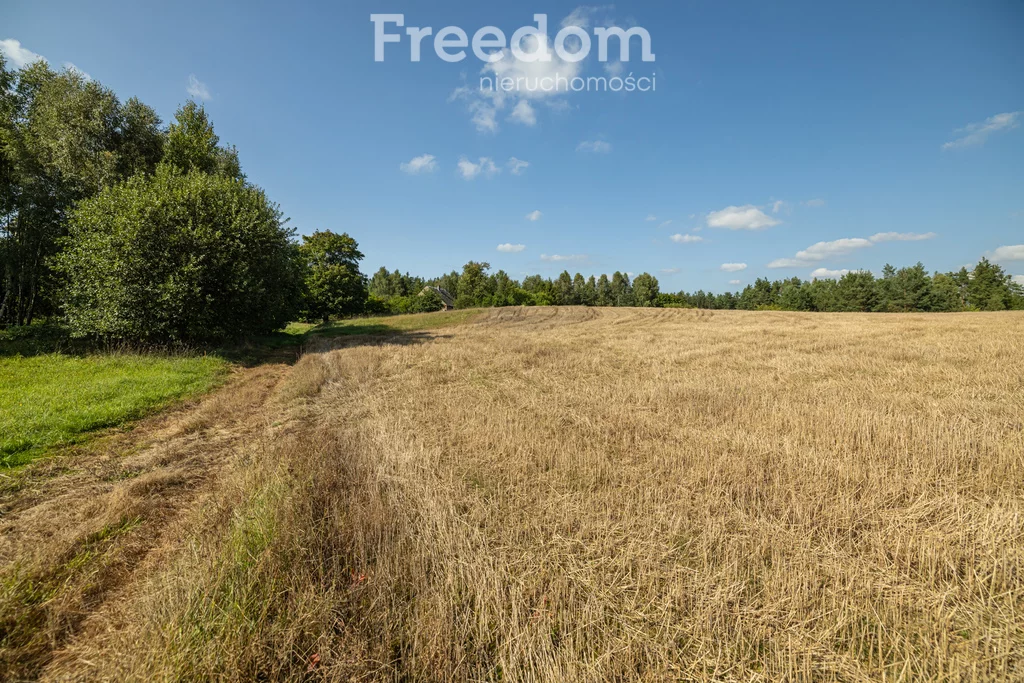 Działka 77 078,00 m², oferta nr , 10974/3685/OGS, Niepoczołowice, Zatorze