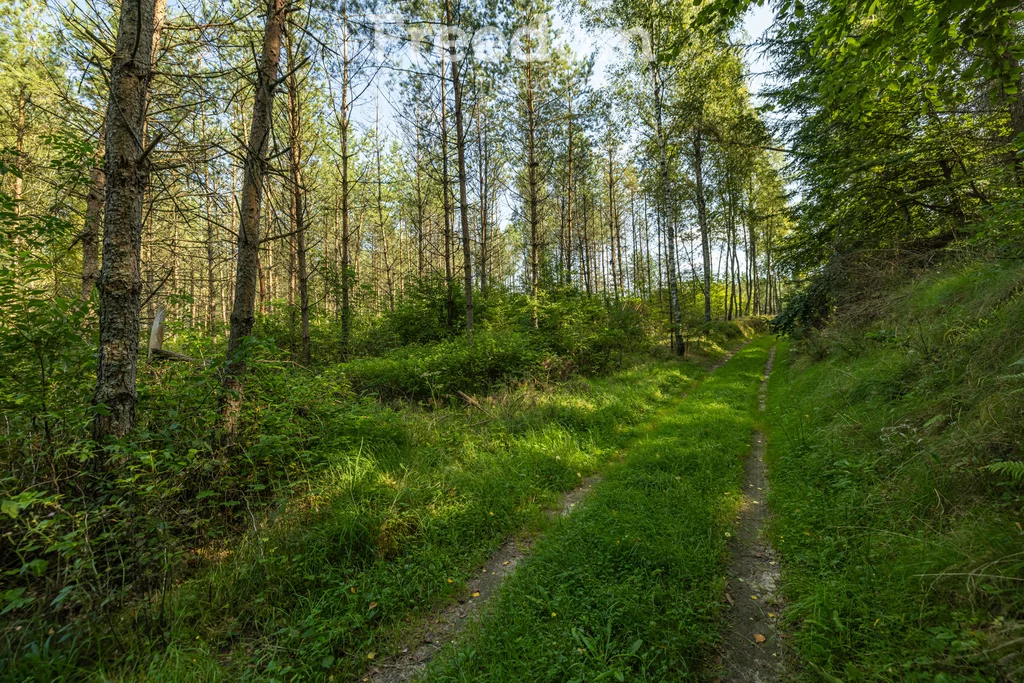 Działka 77 078,00 m², oferta nr , 10974/3685/OGS, Niepoczołowice, Zatorze