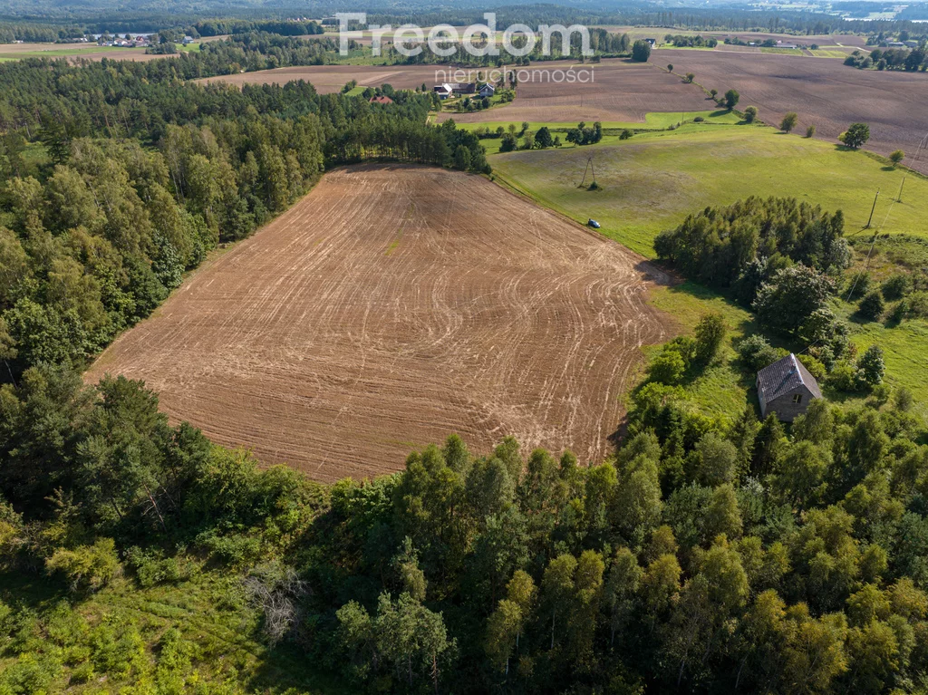 Działka 77 078,00 m², oferta nr , 11102/3685/OGS, Niepoczołowice, Zatorze