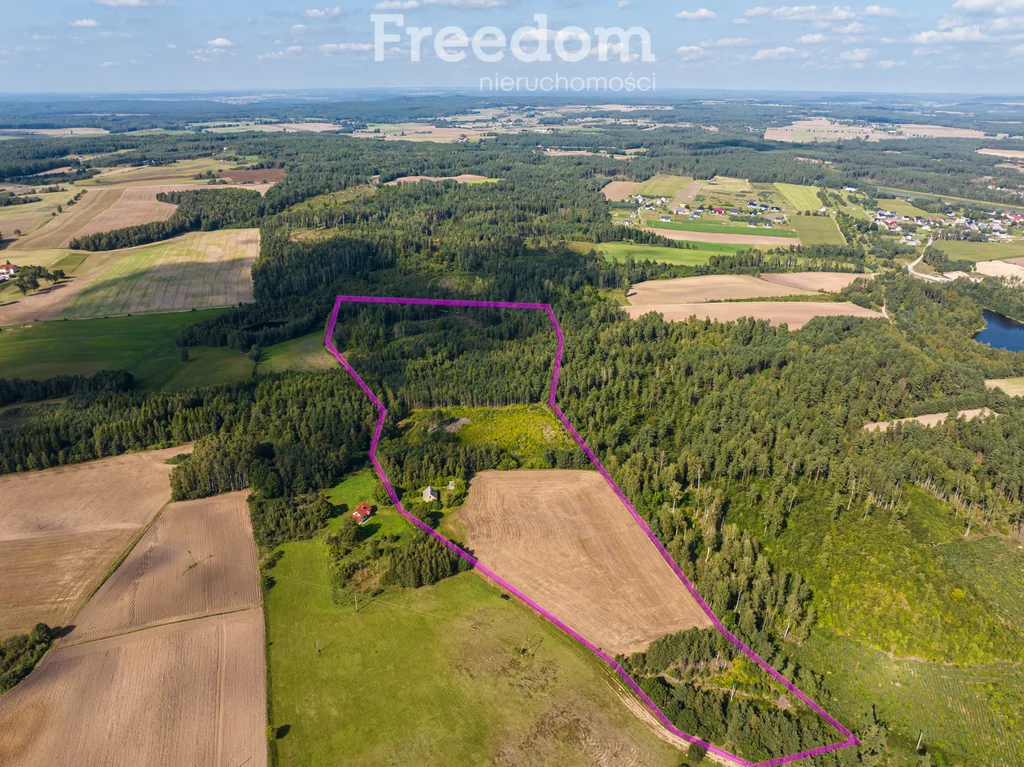 Działka 77 078,00 m², oferta nr , 11102/3685/OGS, Niepoczołowice, Zatorze