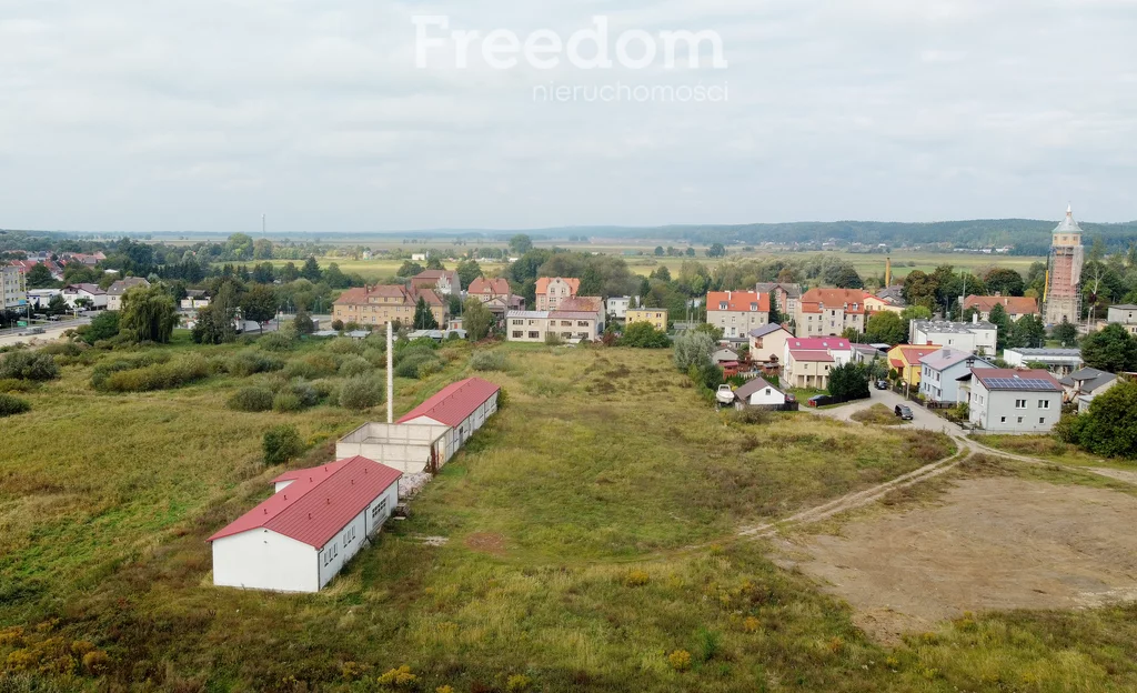 Działka 11 055,00 m², oferta nr , 11422/3685/OGS, Drezdenko, Zaułek