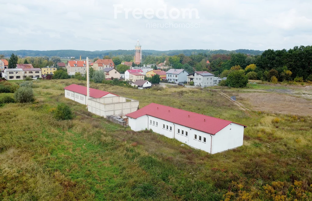 Działka 11 055,00 m², oferta nr , 11422/3685/OGS, Drezdenko, Zaułek