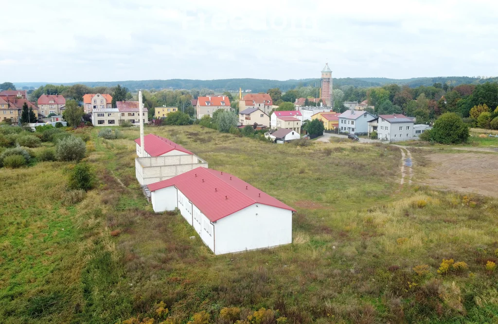 Działka 11 055,00 m², oferta nr , 11422/3685/OGS, Drezdenko, Zaułek